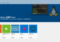 体验一下适用于Linux的windows子系统